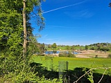 Ried mit Weiher Seeweid N&auml;he L&uuml;tzelsee, April 2026