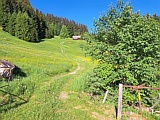 Studen ob Jakobsbad, Riedwiese, 2026