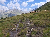 sumpfig Nähe Alp La Muetta