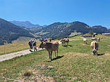 H�henweg zwischen Tannen- und Zimmermanns Lauftegg, 2026