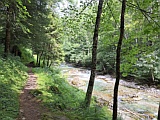 Uferweg Piumogna unterhalb Dalpe
