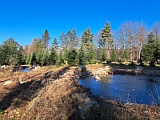 Schutzwald Sch�rhalde mit Weiher