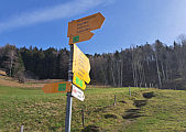 Wiesenwege zwischen Orn und Wernetshausen, Feb.2024