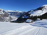Alphütte
                  Seilstock, Blick ins Muotatal