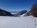 aussichtsreiche Weide auf dem Stierenberg