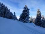 bei
              der Hütte des Wanderclubs Bergli