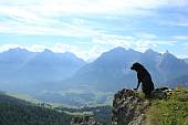 Hundewandern - Alp Laret, Bild: Walter Fischer