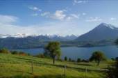 Thunersee mit
                      Niesen und Berner Alpen