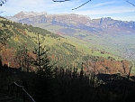 Buchserwald; Blick auf den Alpstein