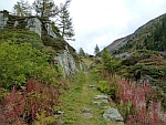 Aufstieg Oberwald
                  - Gletsch, Foto Martha, 2014