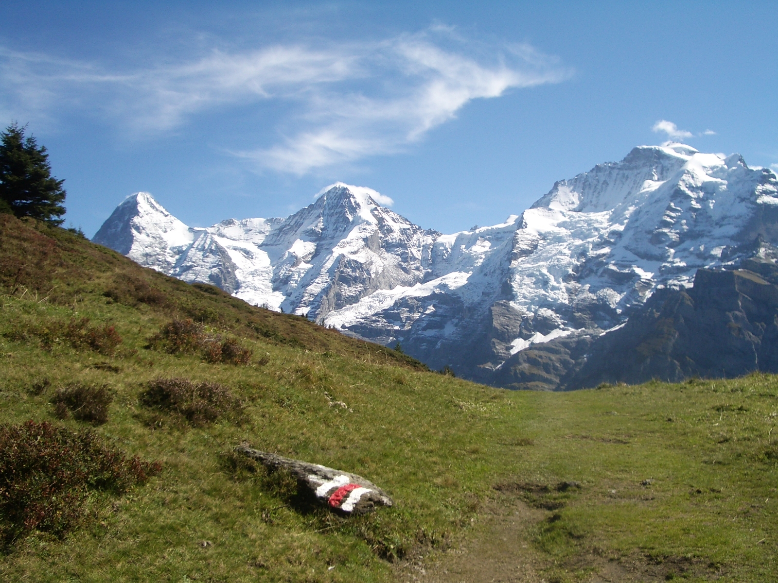 Wanderweg
                  Grütschalp - Allmendhubel - Mürren, mit Eiger, Mönch
                  und Jungfrau