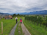 Blick auf Altsttten SG, 2025