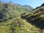 Aufstieg zum Muttbach, Blick zum Furka
                        Belvedere