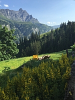 Blick
              vom Nhus Bruschgaleschg