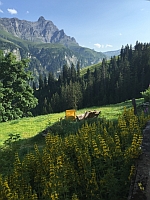 Blick
              vom Nühus Bruschgaleschg