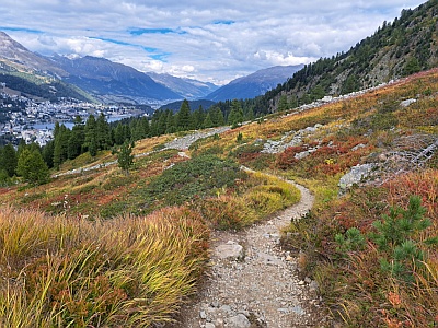 Herbstfarben Gianda Naira, Blick auf St.Moritz, Ende Sep.24