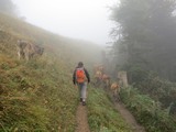 Wanderbegleitung bei der Hirzegg