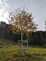 Mittelpunkt Appenzell Innerrhoden AI, Foto Alfred Reist