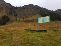 Mittelpunkt des Kantons St.Gallen, im Moorbiotop Hinterschluchten. Foto Alfred Reist