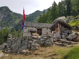 Alpe In Cima alle Piode. Foto Alfred Reist, Juni 2021