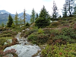 Alpe di Ruino;
                  Nähe Capanna Piansecco, Bild Martha