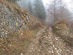 steiler
                            Weg Romontberg - Plagne, Nov.2014