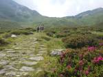 Saumweg Splügenpass