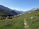 Schöni, Blick ins Urserental