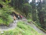 steiler Waldhang zwischen Hohenrätien und
                  Traversina-Steg