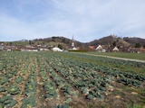 Stettfurt mit Schloss Sonnenberg, Feb.2022