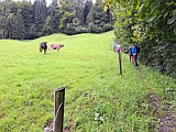 Treppenweg Nhe Strick, 2025