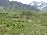 Tmpel und Moore auf dem San Bernardino Pass