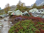 Weg
                  kurz nach der Pianseccohütte; Foto Martha